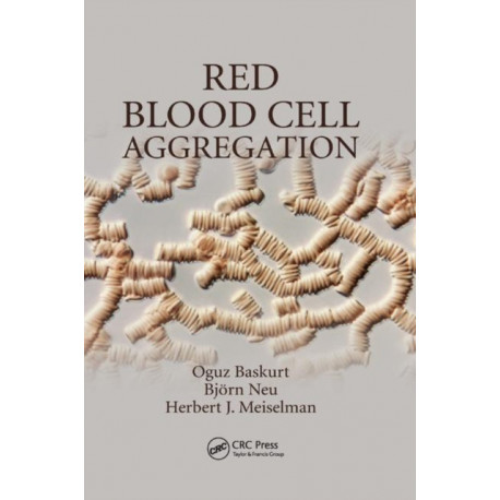 Red Blood Cell Aggregation
