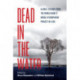 Dead in the Water: Global Lessons from the World Bank's Model Hydropower Project in Laos