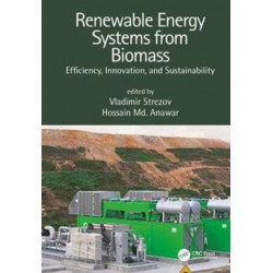 Renewable Energy Systems from Biomass: Efficiency, Innovation and Sustainability