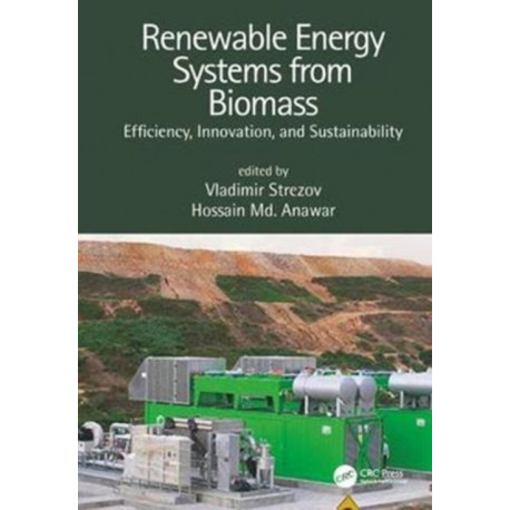Renewable Energy Systems from Biomass: Efficiency, Innovation and Sustainability