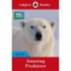 Ladybird Readers Level 6 - BBC Earth - Amazing Predators (ELT Graded Reader )