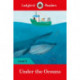 Ladybird Readers Level 4 - Under the Oceans (ELT Graded Reader)