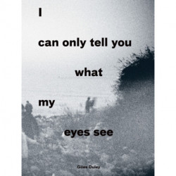I Can Only Tell You What My Eyes See