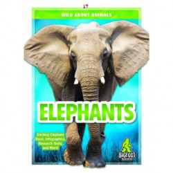 Elephants