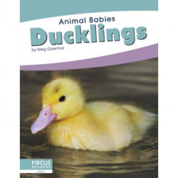 Ducklings