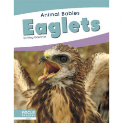 Eaglets