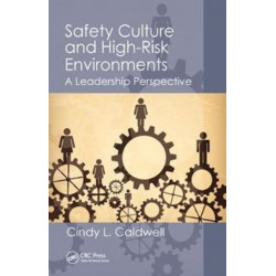 Safety Culture and High-Risk Environments: A Leadership Perspective