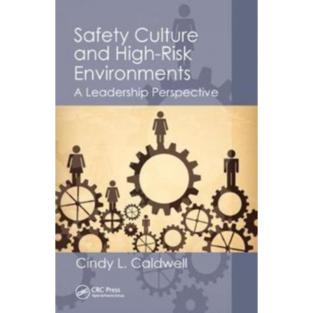 Safety Culture and High-Risk Environments: A Leadership Perspective