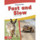 Fast and Slow