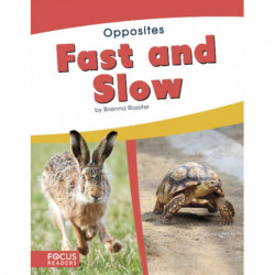 Fast and Slow