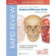 Rapid Review: Anatomy Reference Guide: A Guide for Self-Testing and Memorization