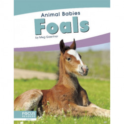 Foals
