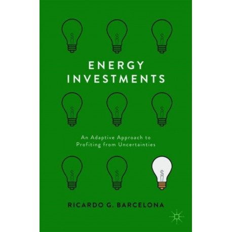 Energy Investments: An Adaptive Approach to Profiting from Uncertainties