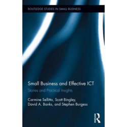 Small Businesses and Effective ICT: Stories and Practical Insights