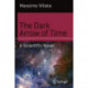 The Dark Arrow of Time: A Scientific Novel