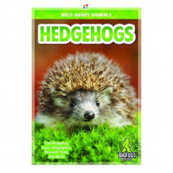 Hedgehogs