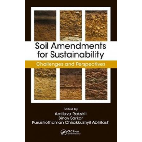 Soil Amendments for Sustainability: Challenges and Perspectives