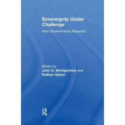 Sovereignty Under Challenge: How Governments Respond
