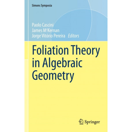 Foliation Theory in Algebraic Geometry