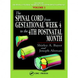The Spinal Cord from Gestational Week 4 to the 4th Postnatal Month