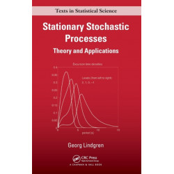 Stationary Stochastic Processes: Theory and Applications