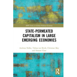 State-permeated Capitalism in Large Emerging Economies