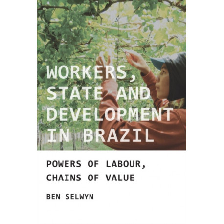 Workers, State and Development in Brazil: Powers of Labour, Chains of Value