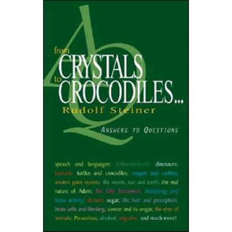 From Crystals to Crocodiles: Answers to Questions