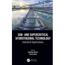 Sub- and Supercritical Hydrothermal Technology: Industrial Applications
