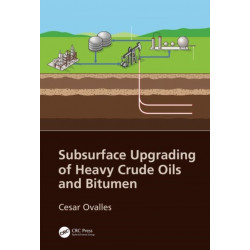 Subsurface Upgrading of Heavy Crude Oils and Bitumen