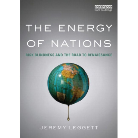 The Energy of Nations: Risk Blindness and the Road to Renaissance