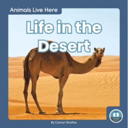Life in the Desert