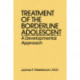 Treatment Of The Borderline Adolescent: A Developmental Approach