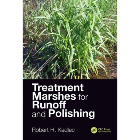 Treatment Marshes for Runoff and Polishing