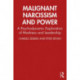 Malignant Narcissism and Power: A Psychodynamic Exploration of Madness and Leadership