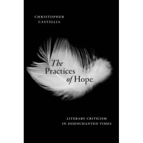 The Practices of Hope: Literary Criticism in Disenchanted Times