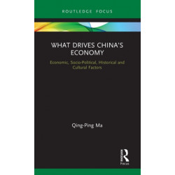 What Drives China’s Economy: Economic, Socio-Political, Historical and Cultural Factors