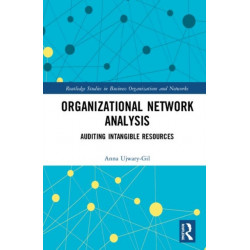 Organizational Network Analysis: Auditing Intangible Resources