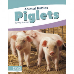 Piglets