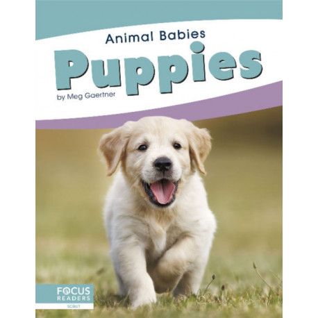 Puppies