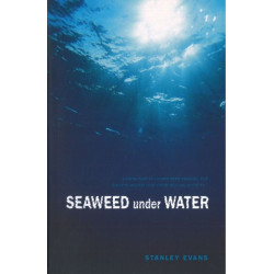 Seaweed Under Water