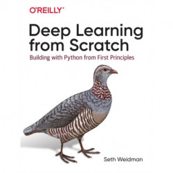 Deep Learning from Scratch: Building with Python from First Principles