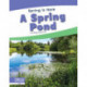 A Spring Pond