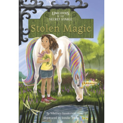 Stolen Magic: Book 3