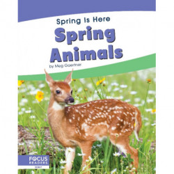 Spring Animals