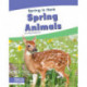 Spring Animals