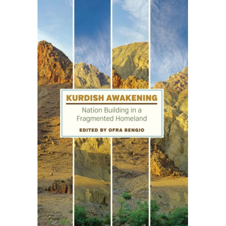 Kurdish Awakening: Nation Building in a Fragmented Homeland