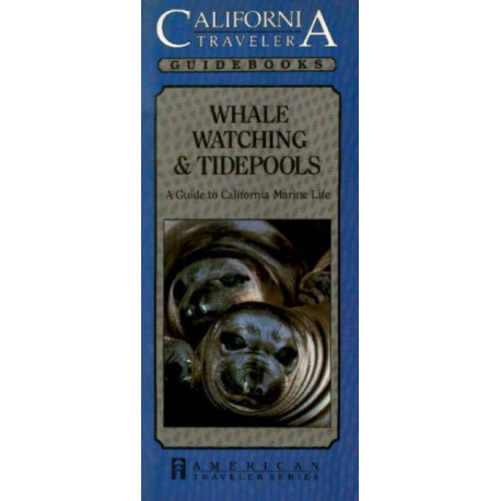 Whale Watching & Tidepools