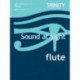 Sound At Sight Flute (Grades 1-4): Flute Teaching Material