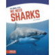 We Need Sharks